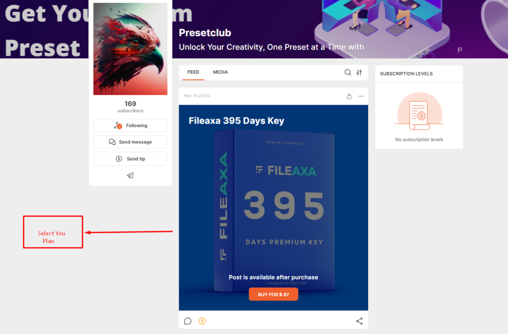 How to Pay for FILEAXA with PayPal, Card, Crypto, perfectmoney 3 image 8