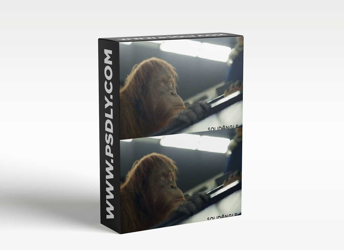 Arnold v5.0.0.2 for Maya 2019 – 2022