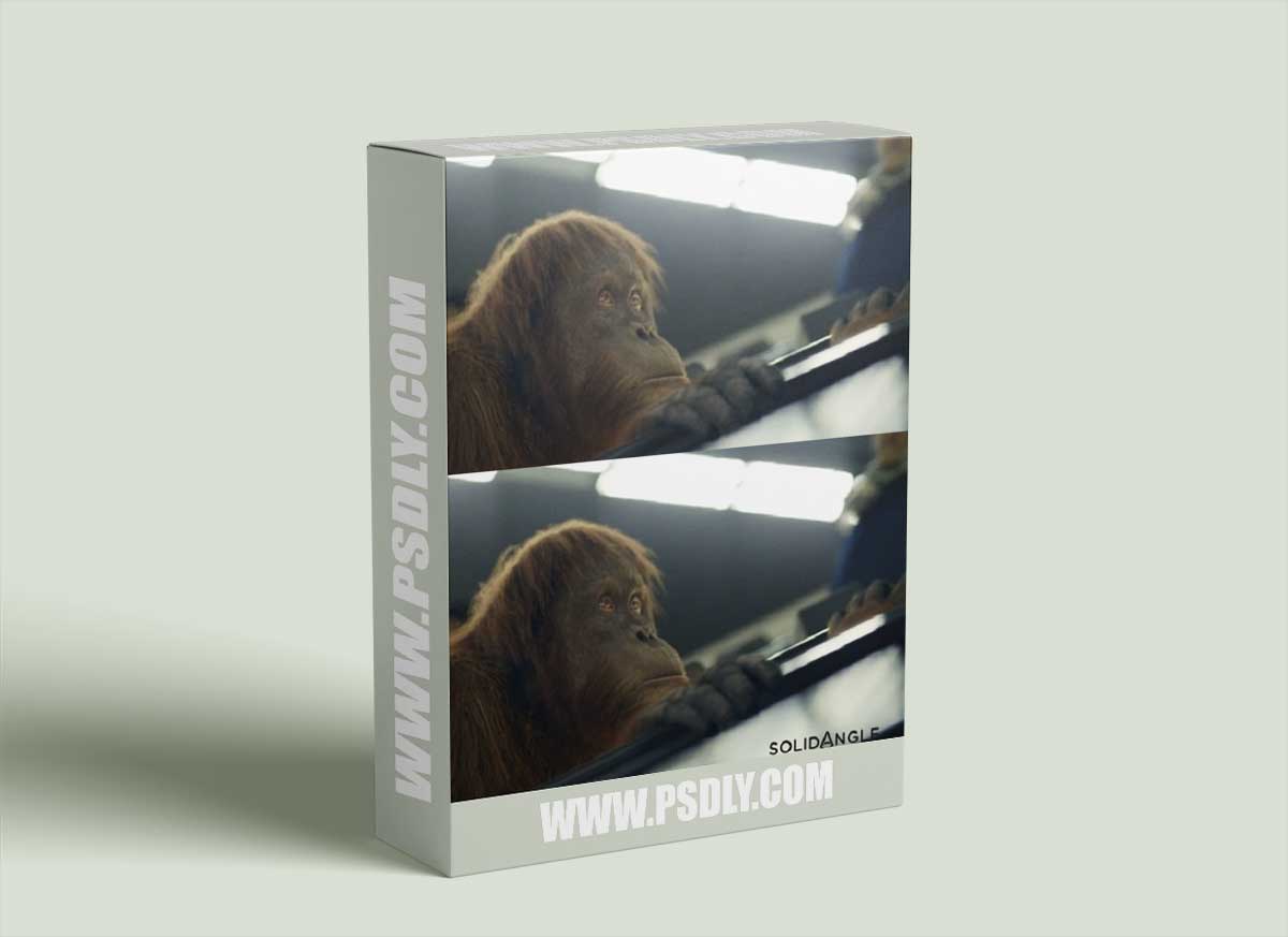 Arnold for Maya v5.2.2 (x64) 2020-2022-2023