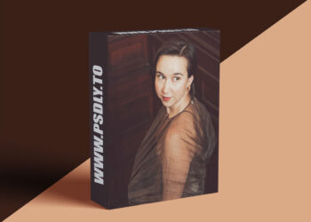 Gina Knox – Small Business Money School