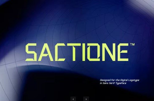 Sactione - Digital Logo Fonts 1 Sactione Digital Logo Fonts